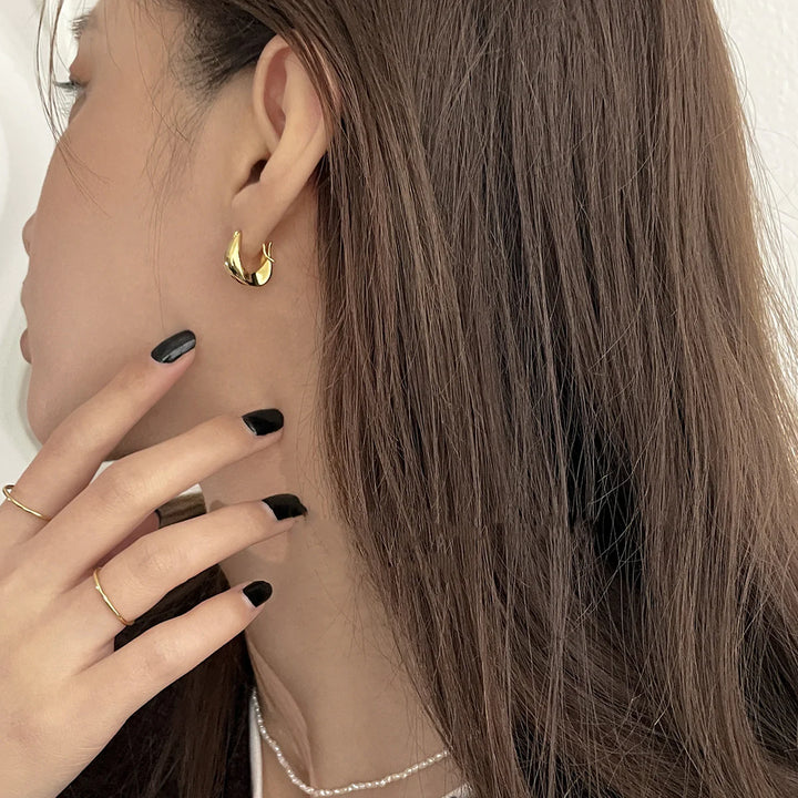 Irregular Geometric Earrings