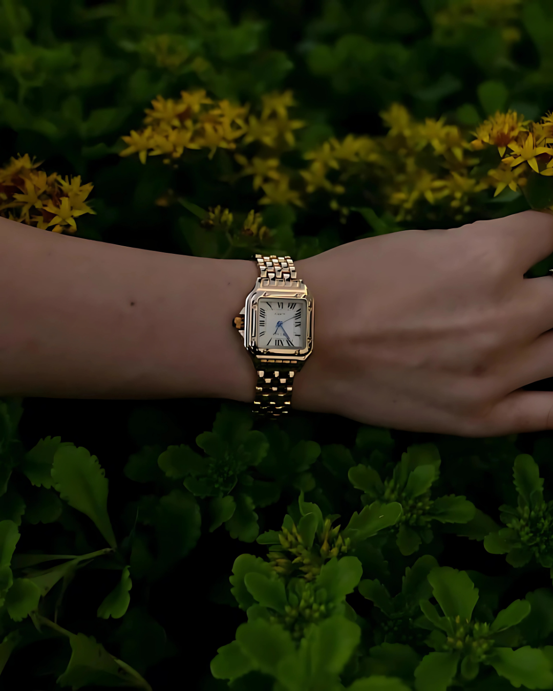 Aurum Royale Watch