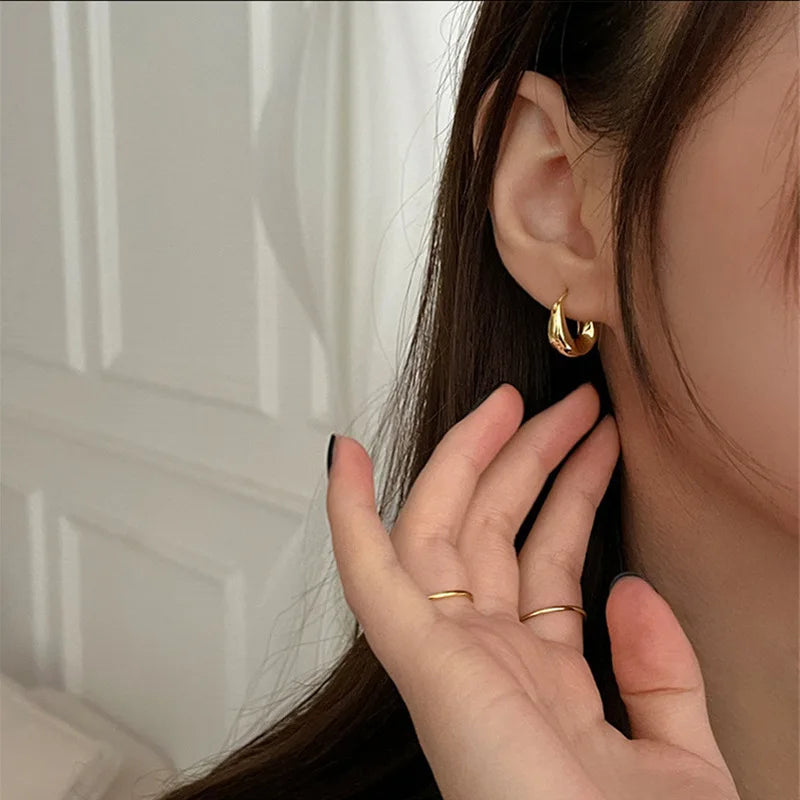 Irregular Geometric Earrings